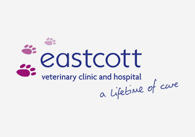 Online Booking at Vets 