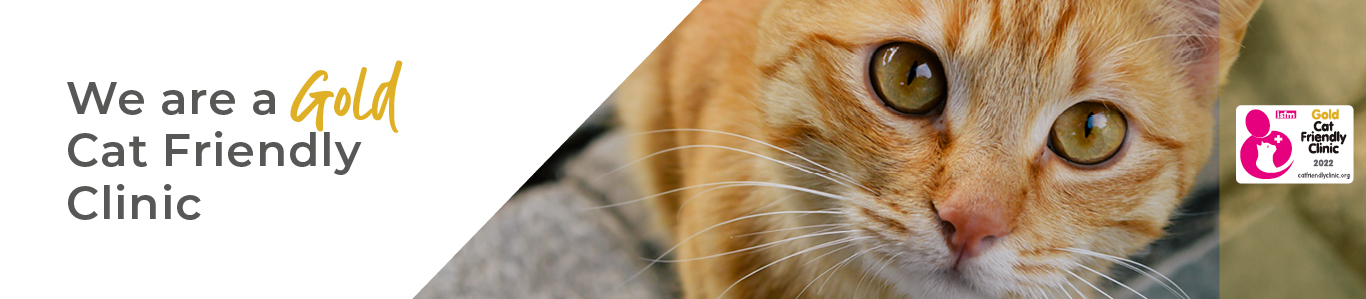 Cat Friendly Clinic | Gold Level Accredited | Eastcott Vets