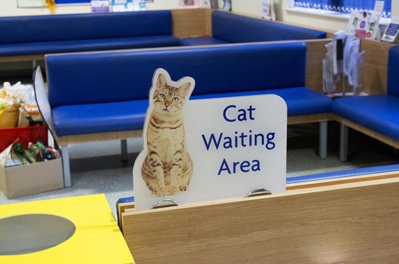 cat-waiting-area