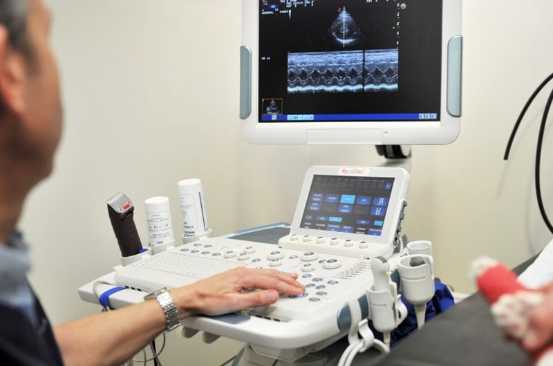 vets-swindon-ultrasound