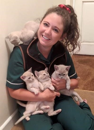 Eastcott Hannah with burmese cats