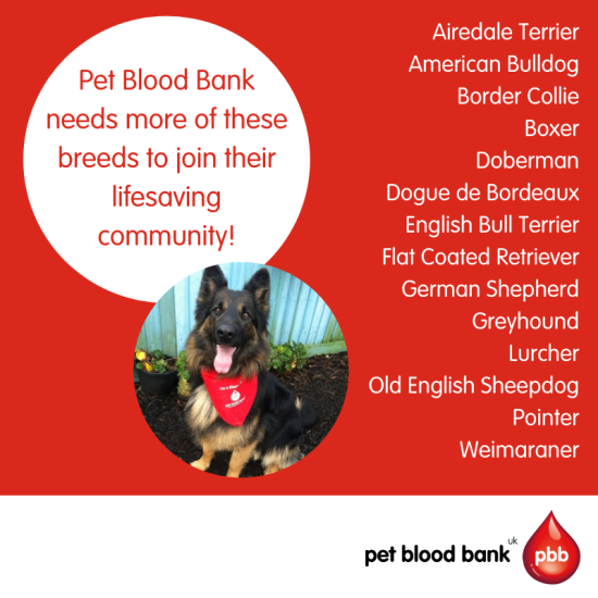 Pet Blood Bank breeds