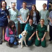 Edison Guide Dog puppy posing with some of the team