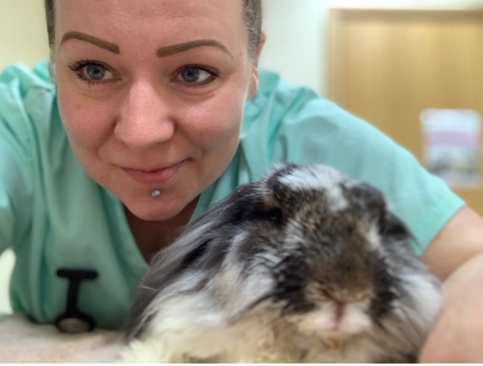 Veterinary Nurse Awareness Month meet Anne