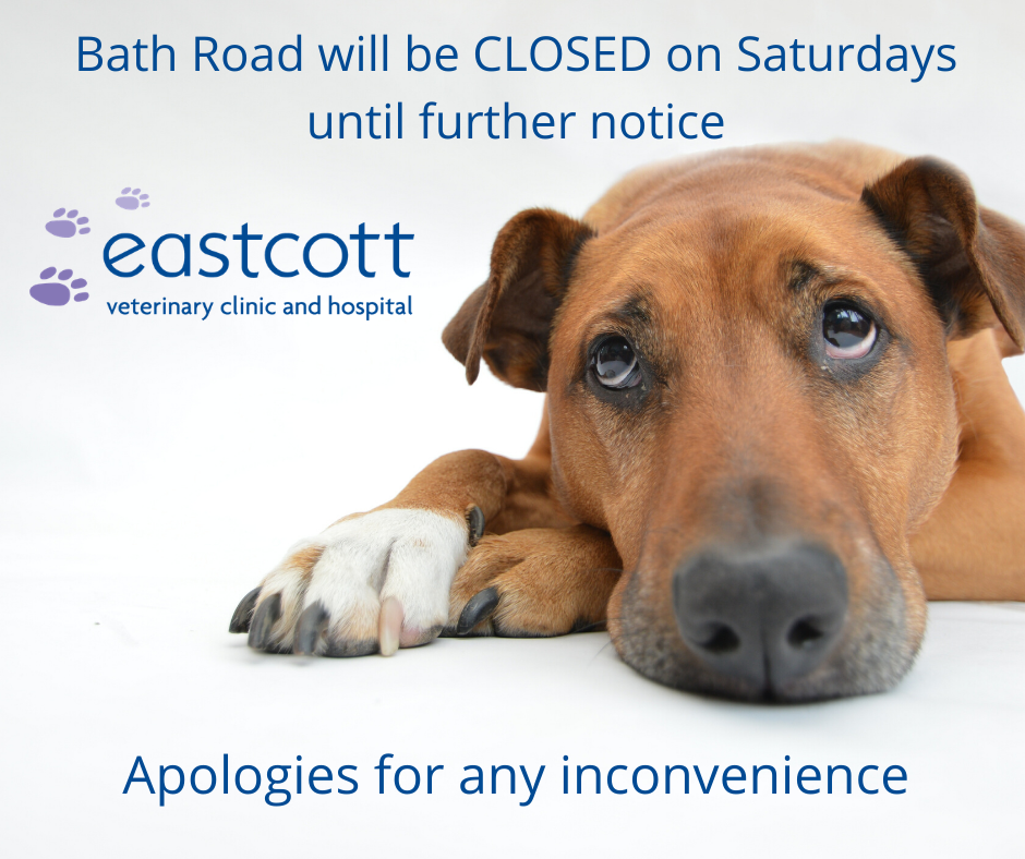 Change to Bath Road surgery Saturday opening hours 