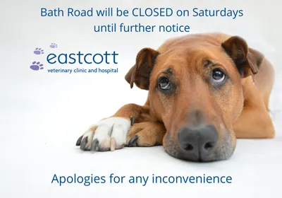 Change to Bath Road surgery Saturday opening hours 