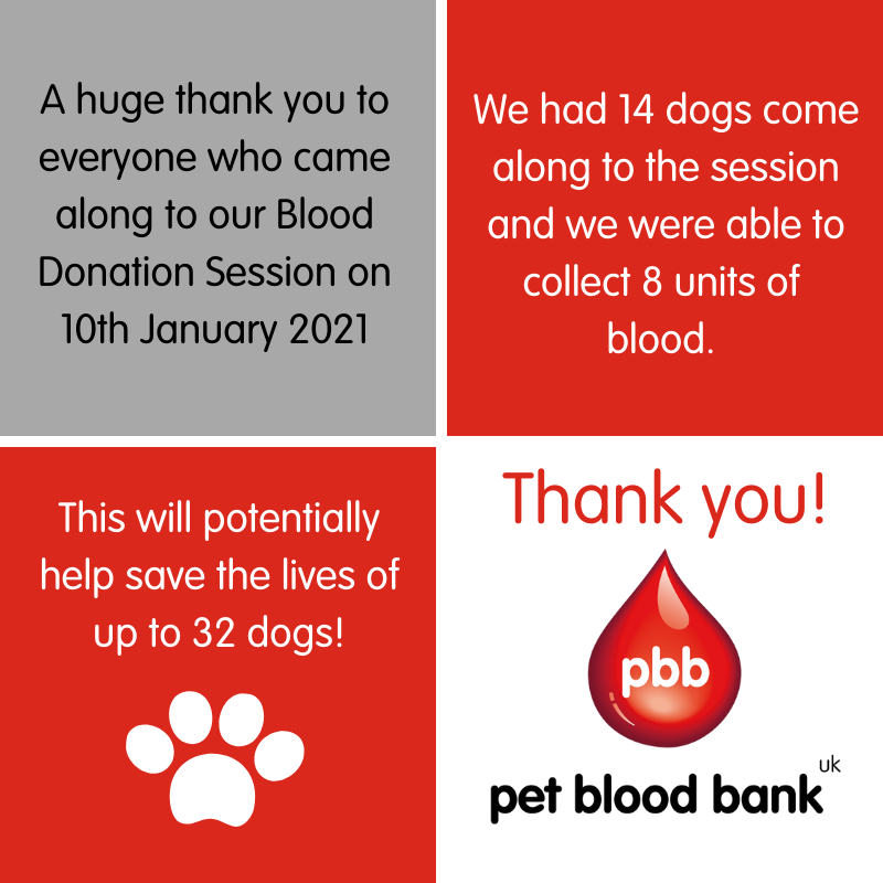 Our January Pet Blood Bank event
