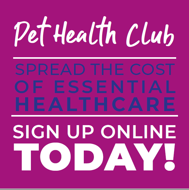 5 benefits to joining our Pet Health Plan
