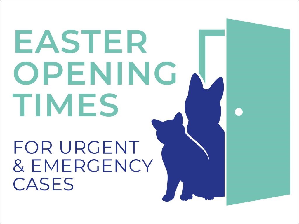 Eastcott Vets Easter Opening Hours