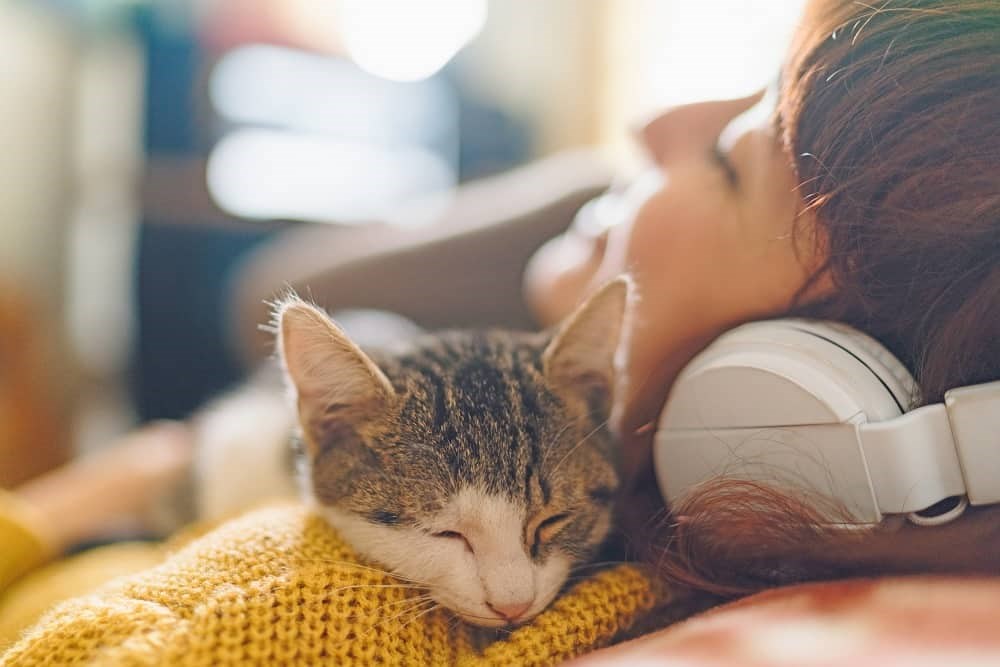 International day of happiness – how pets contribute to our mental wellbeing