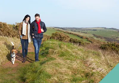 How do you show your pet affection?  