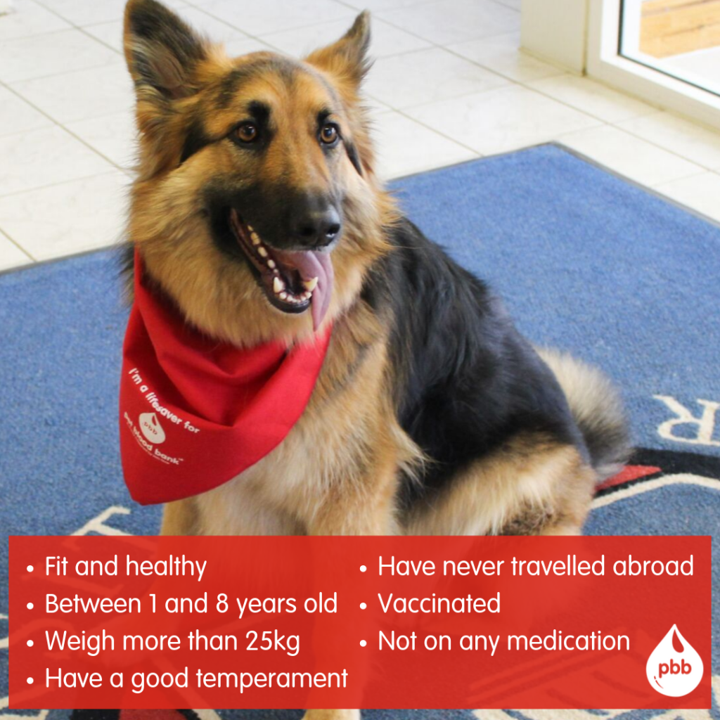 Our next Pet Blood Bank session is on Sunday 6th June