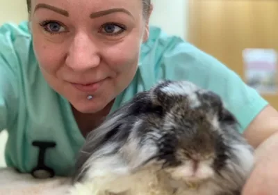 Veterinary Nurse Awareness Month meet Anne