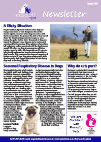Swindon vets summer newsletter for pet owners