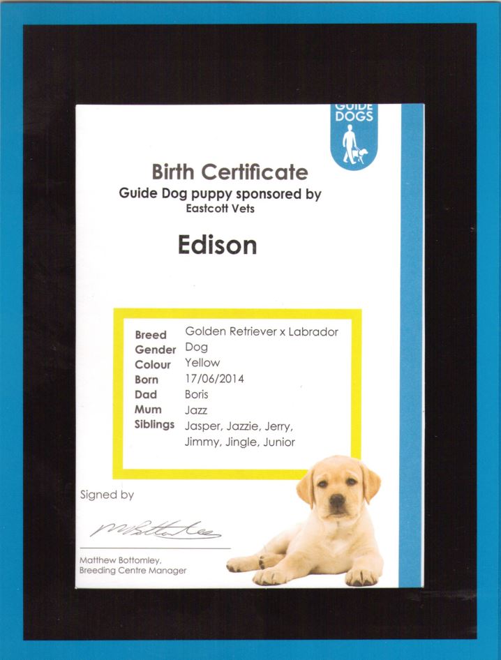 Edison birth certificate