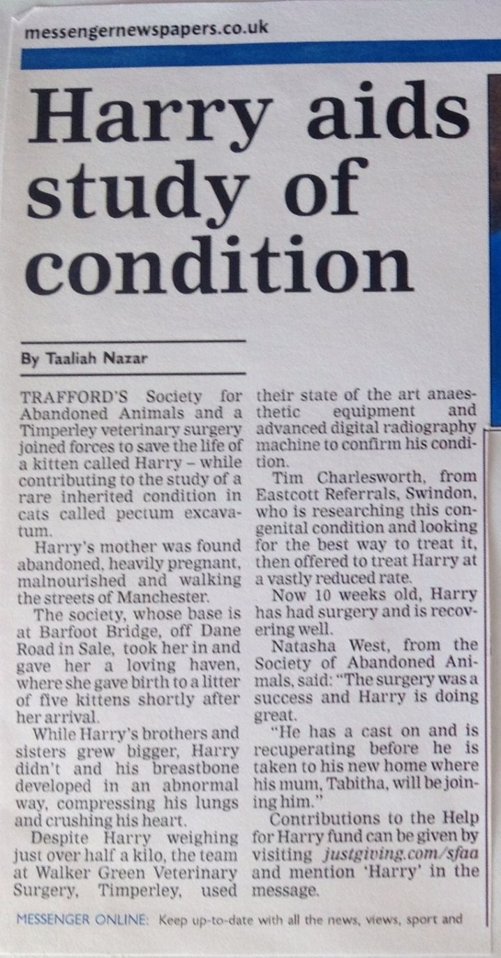 Newspaper article on Harry