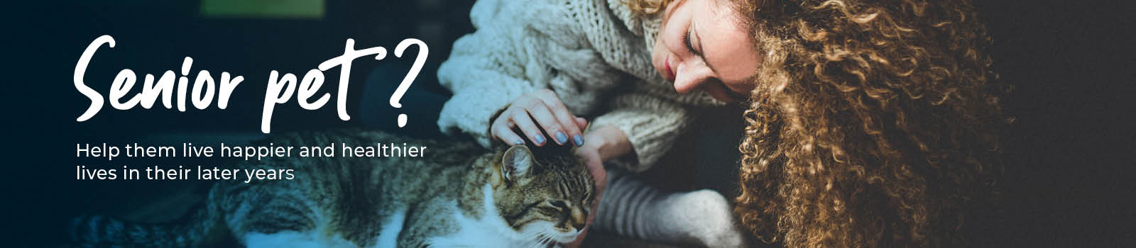 Learn How to Care For Your Senior Pets | Eastcott Vets