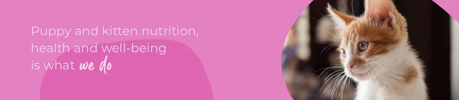 Start of Life Puppy & Kitten Care Swindon | Eastcott Vets