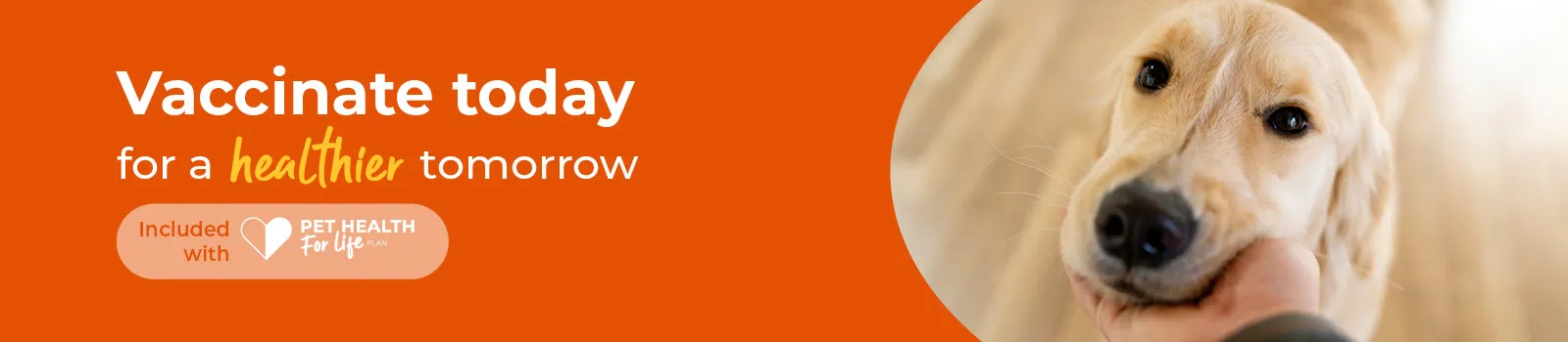 Dog Vaccinations In Swindon | Puppy Vaccines | Eastcott Vets