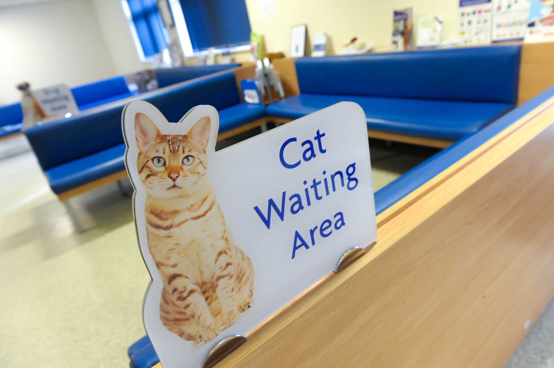Swindon cat friendly vet clinic result