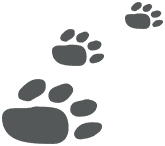 Eastcott Vets footer-paw
