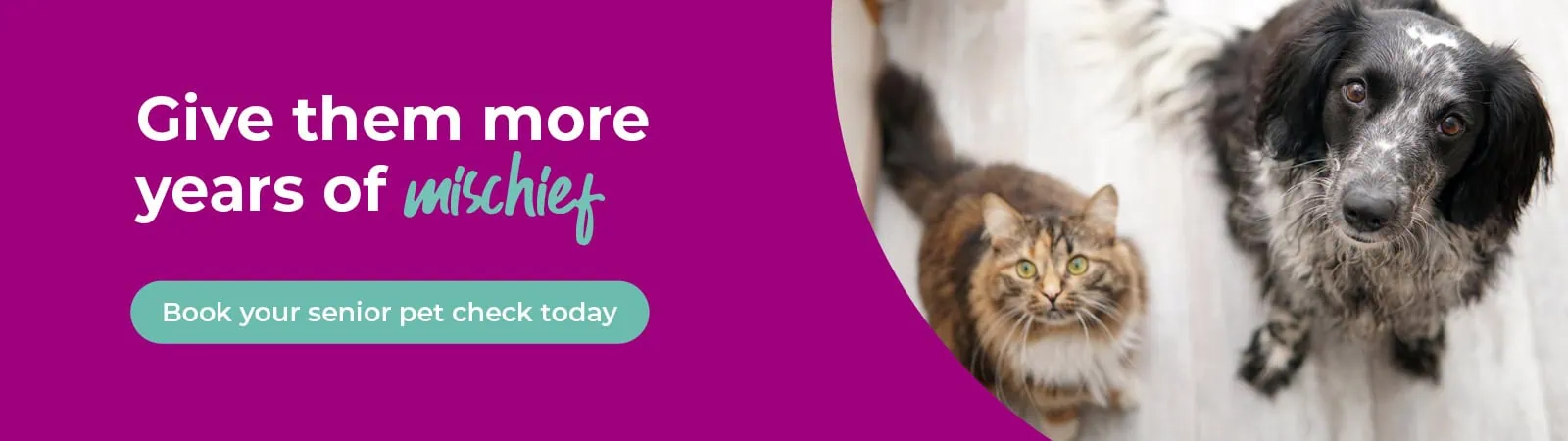 Eastcott Vets: Award-winning Swindon & Marlborough Vets Near Me