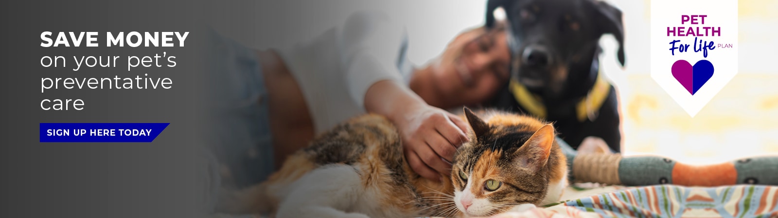 Eastcott Vets: Award-winning Swindon & Marlborough Vets Near Me